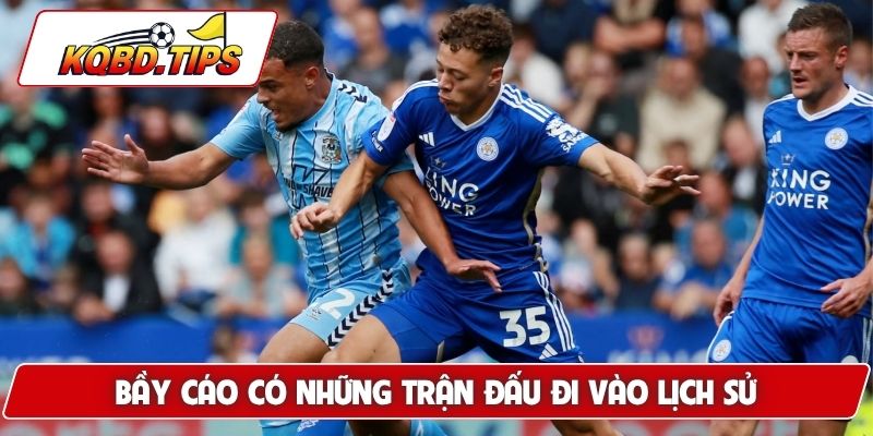 Bầy Cáo có những trận đấu đi vào lịch sử