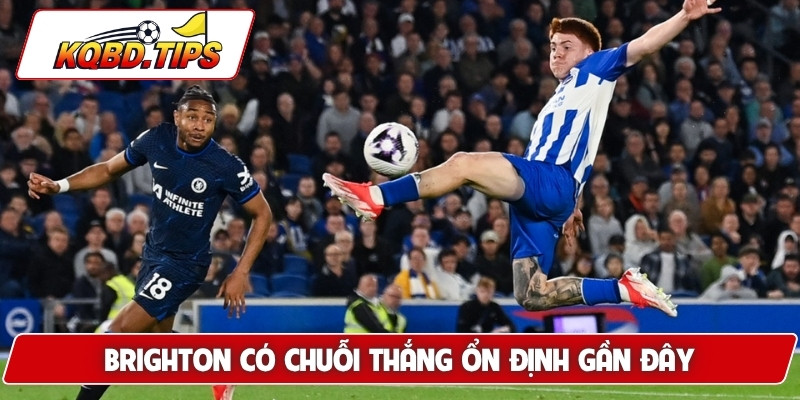 Brighton có chuỗi thắng ổn định gần đây